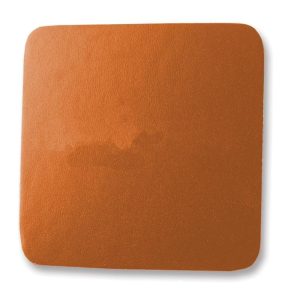 Square Leather Coaster